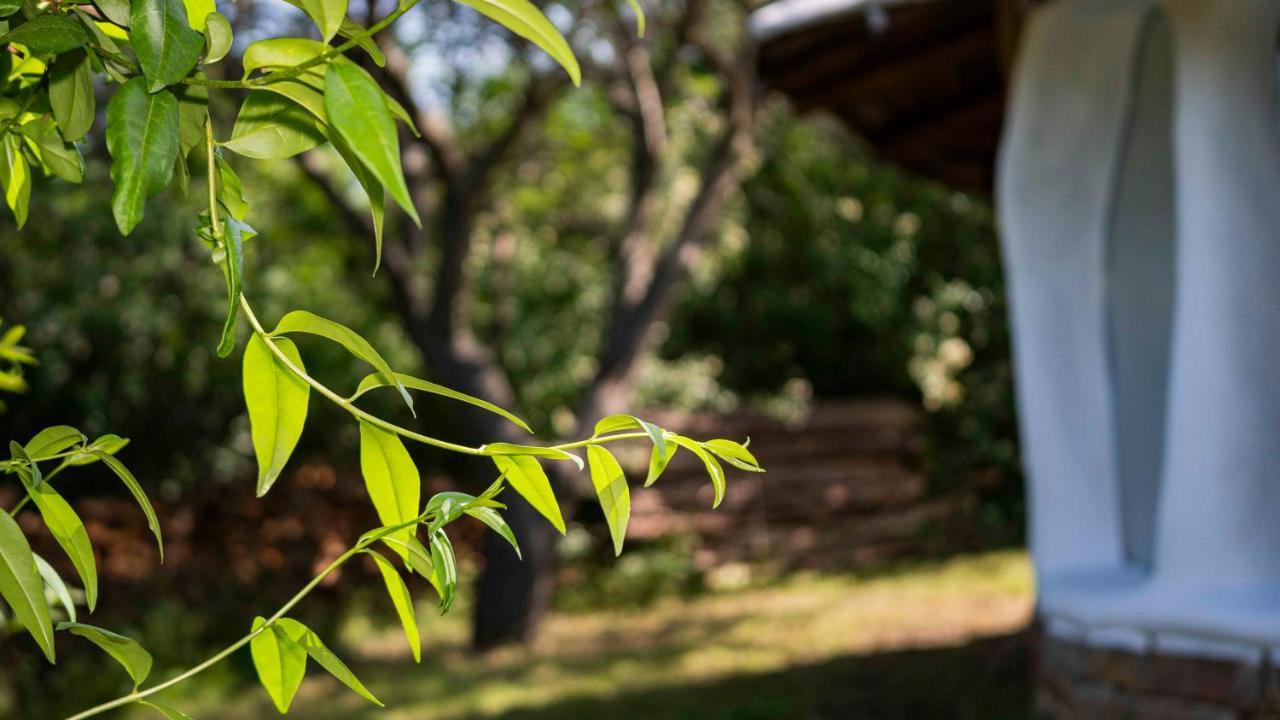Clay House Banya Villa Баня Екстериор снимка